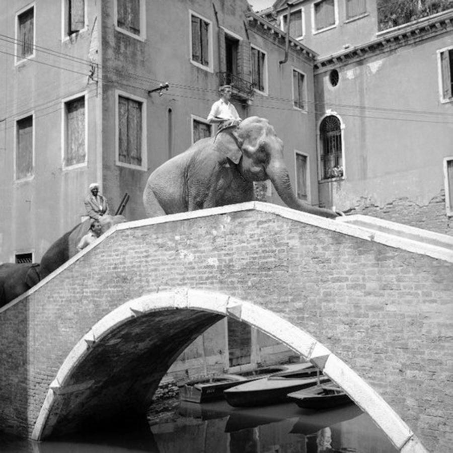 Ca' Circus 4 Rooms Wi-Fi Fibre Venedig Exterior foto